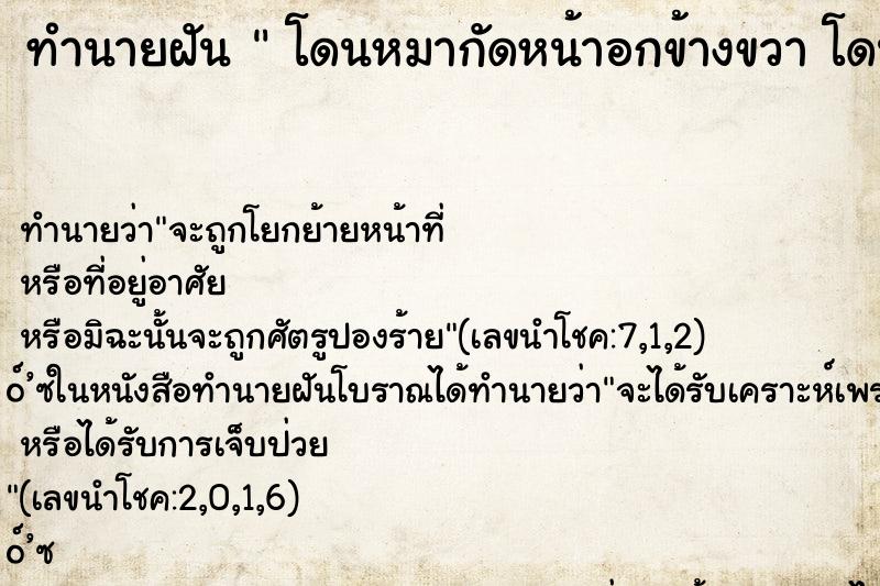 ทำนายฝันโดนหมากัดหน้าอกข้างขวาโดนหมากัดหน้าอกข้างขวาวัน ทำนายฝันทำนายฝันโดนหมากัดหน้าอกข้างขวาโดนหมากัดหน้าอกข้างขวาวัน